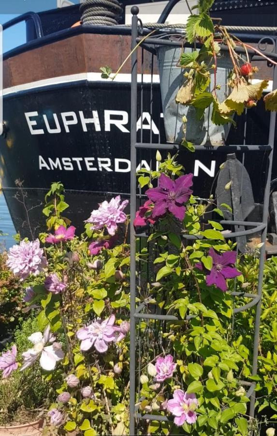 Wheelhouse Euphrate Houseboat Bed and Breakfast Diemerbrug Buitenkant foto